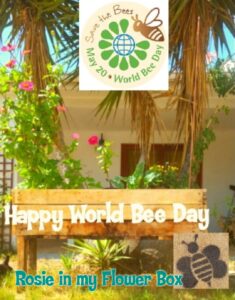 Happy international World Bee Day | 20 May 2019
